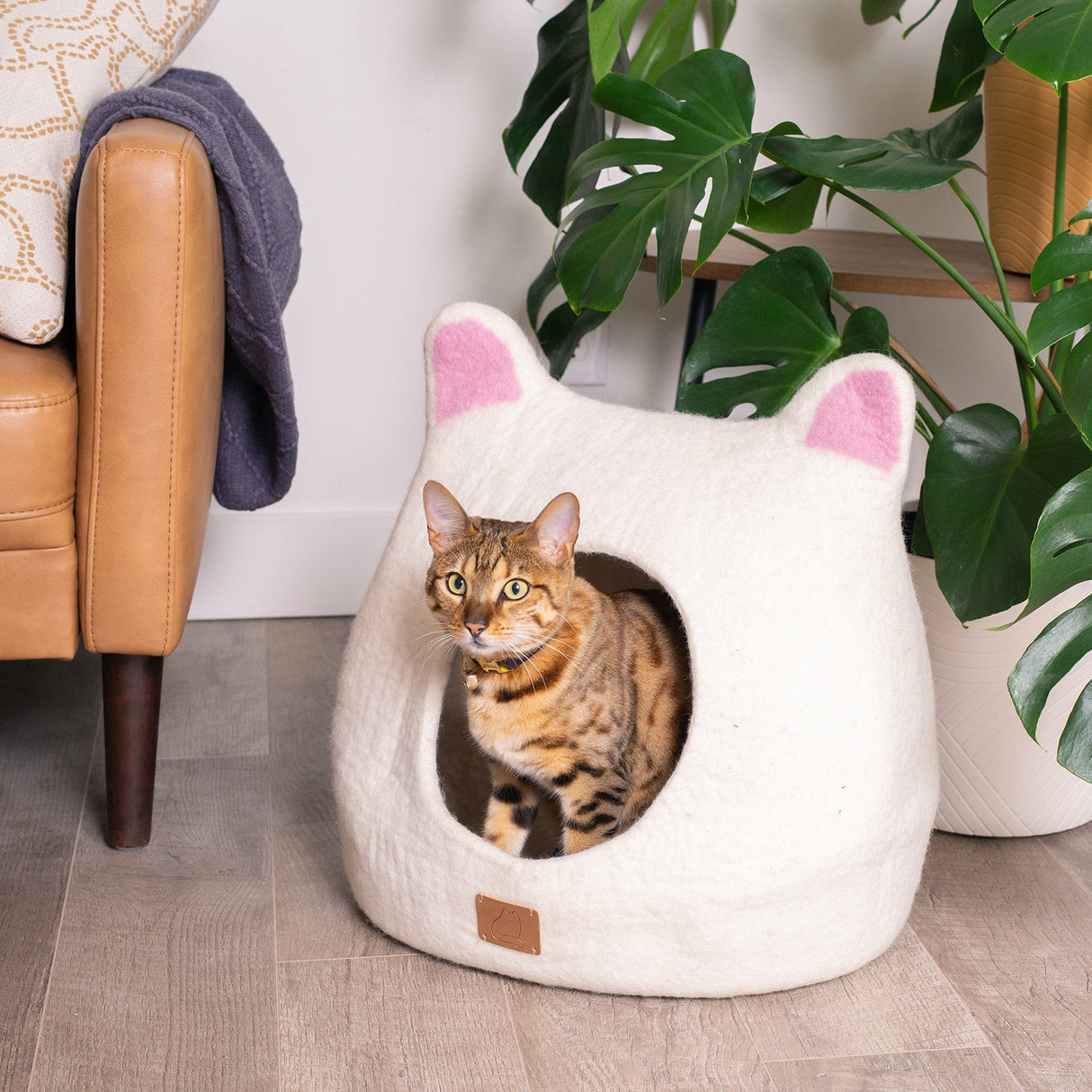 Accent Ears Design | Ear Style Cave from Fuzzy Cove