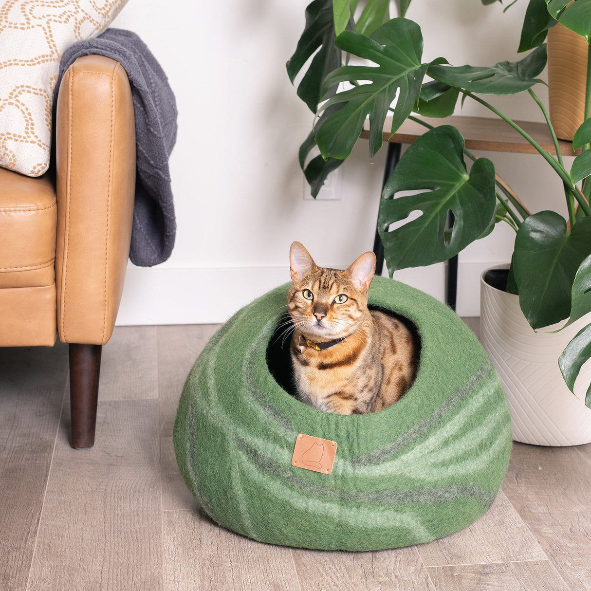 Stone Design | Round Style Cave from Fuzzy Cove