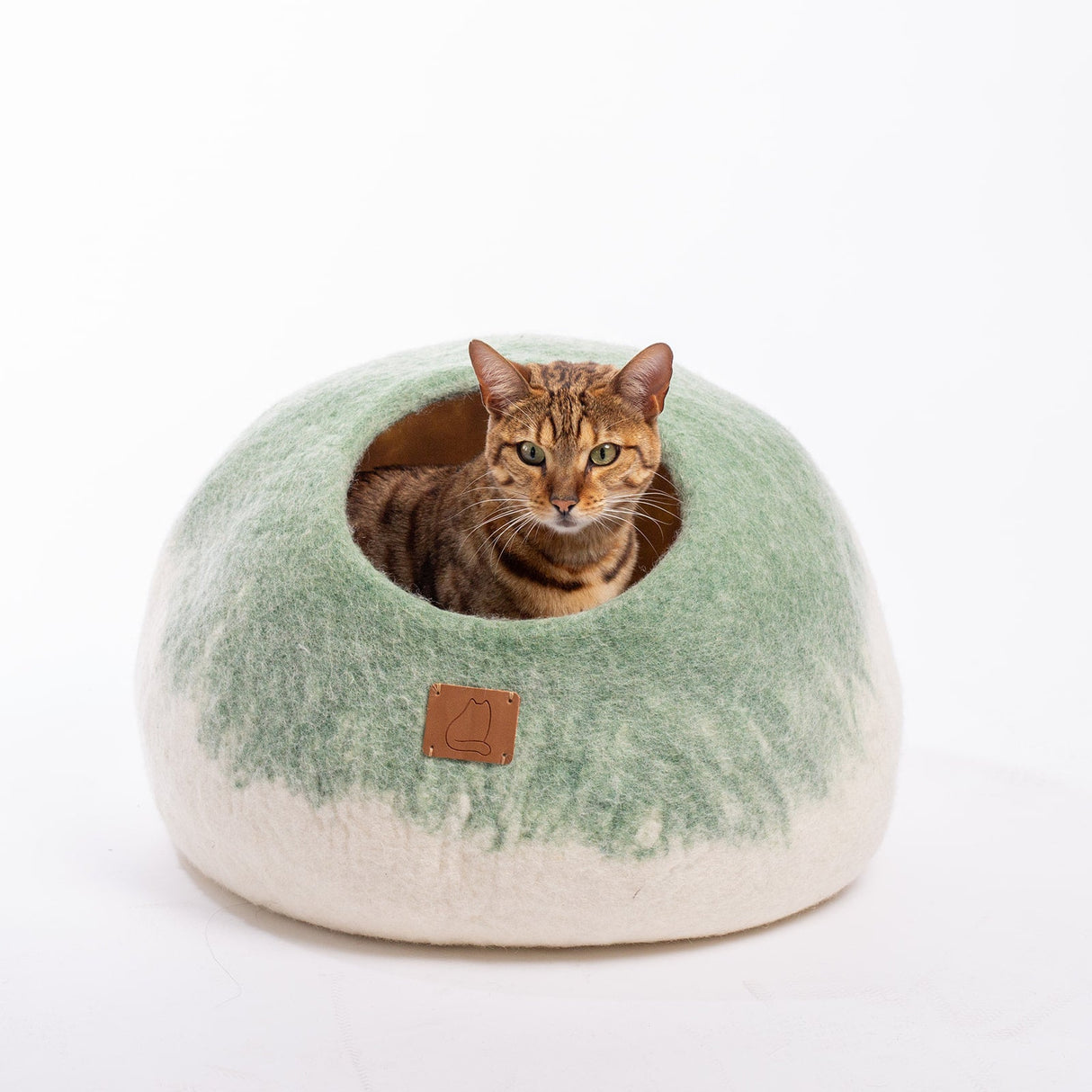 Burst Design | Round Style Cave from Fuzzy Cove