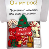 Christmas Themed Dog Treats Gift Box from Bonne et Filou