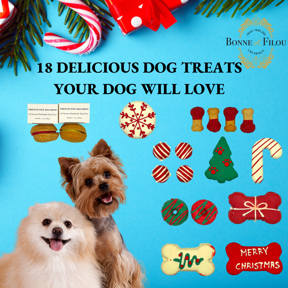 Christmas Themed Dog Treats Gift Box from Bonne et Filou