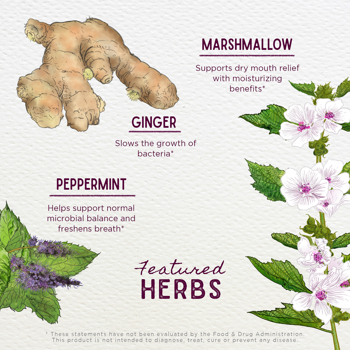 Magic Mint Breath Spray from WishGarden Herbs
