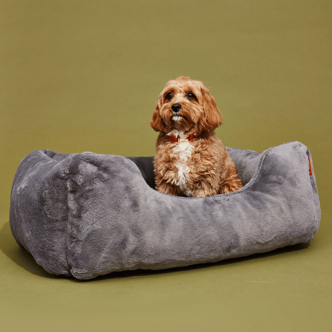 The Sammy Dog Bed from FÜZI