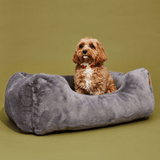 The Sammy Dog Bed from FÜZI