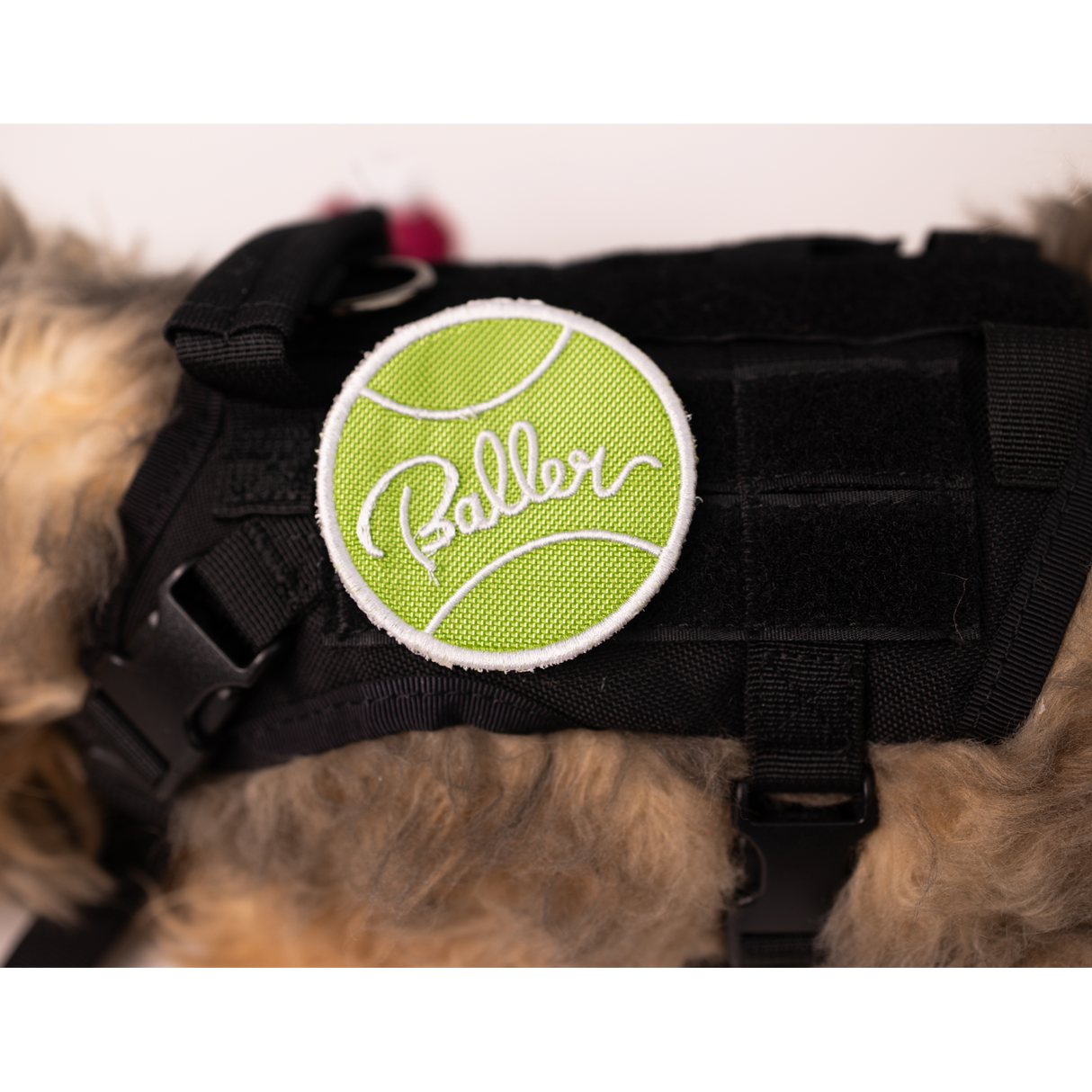 Baller Patch from K9 Sport Sack