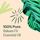 Balsam Fir Essential Oil From Plant Therapy