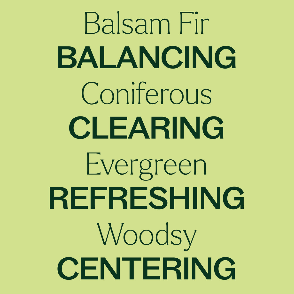 Balsam Fir Essential Oil From Plant Therapy