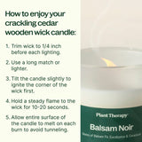 Balsam Noir Naturally Scented Candle from Plant Therapy
