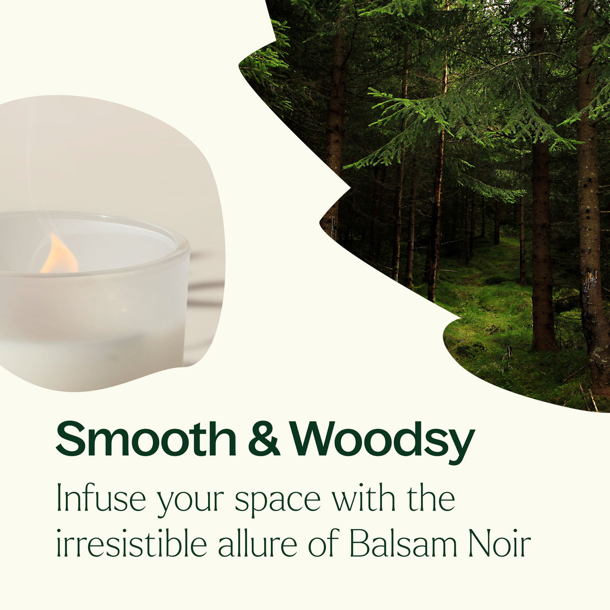 Balsam Noir Naturally Scented Candle from Plant Therapy