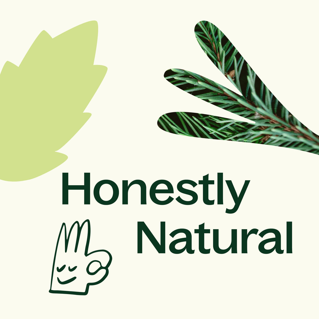 Balsam Noir Naturally Scented Candle from Plant Therapy