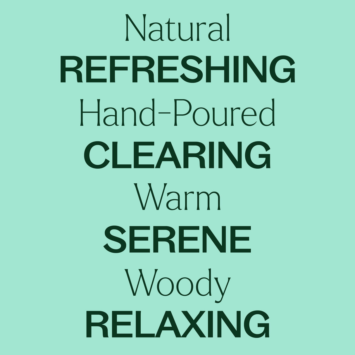 Balsam Noir Naturally Scented Candle from Plant Therapy