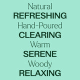 Balsam Noir Naturally Scented Candle from Plant Therapy