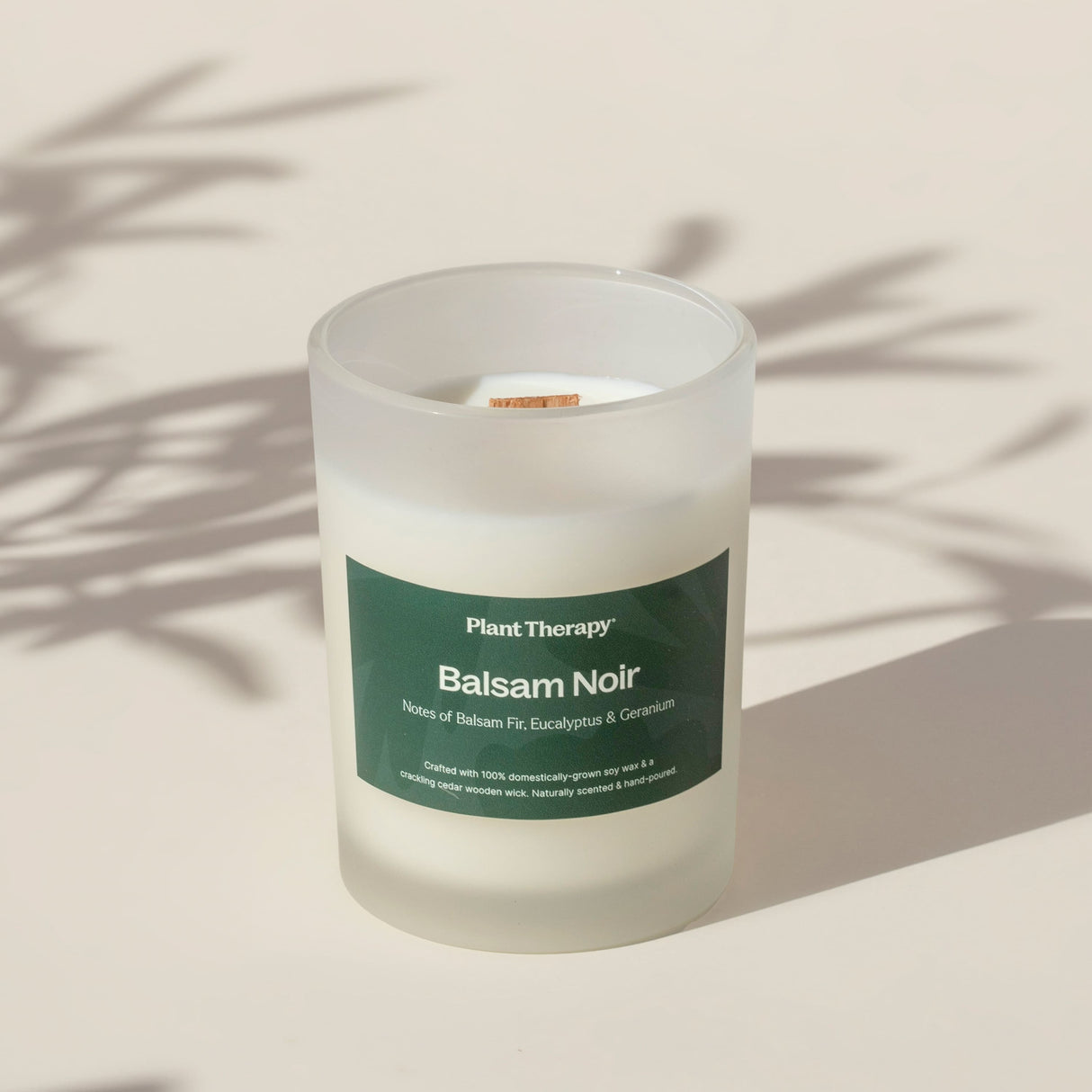 Balsam Noir Naturally Scented Candle from Plant Therapy