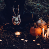 Basic Witch from Wicked Good Perfume