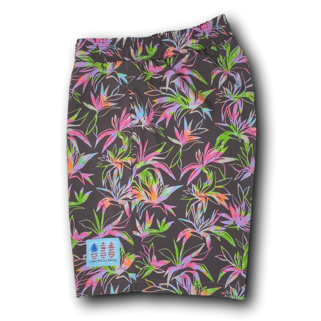 Belize Dat* Swimsuit from Tropical Bros
