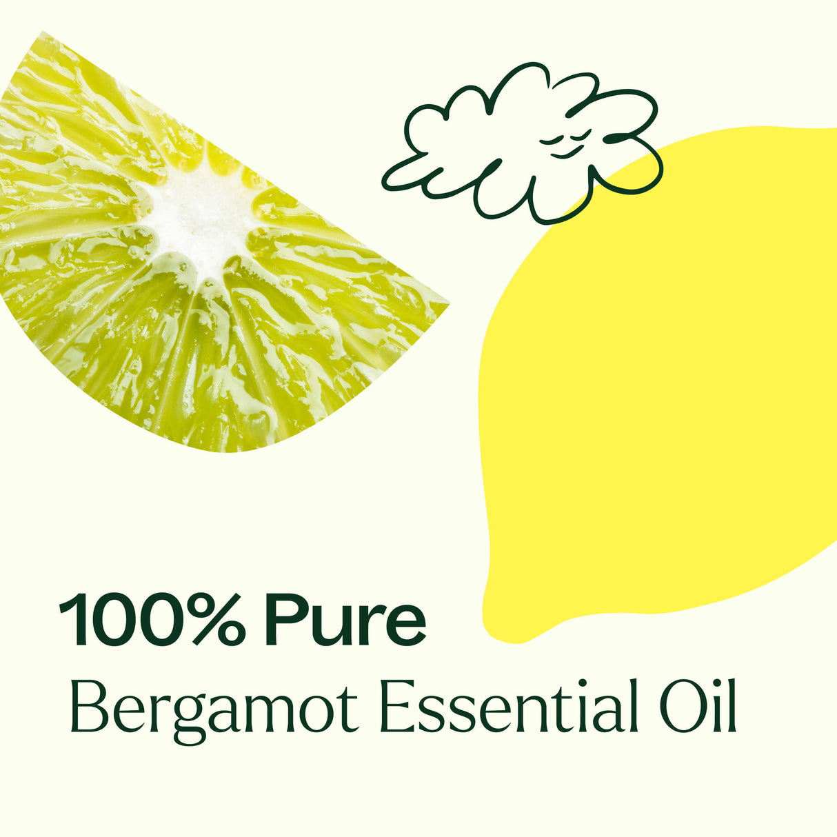 Bergamot Essential Oil From Plant Therapy