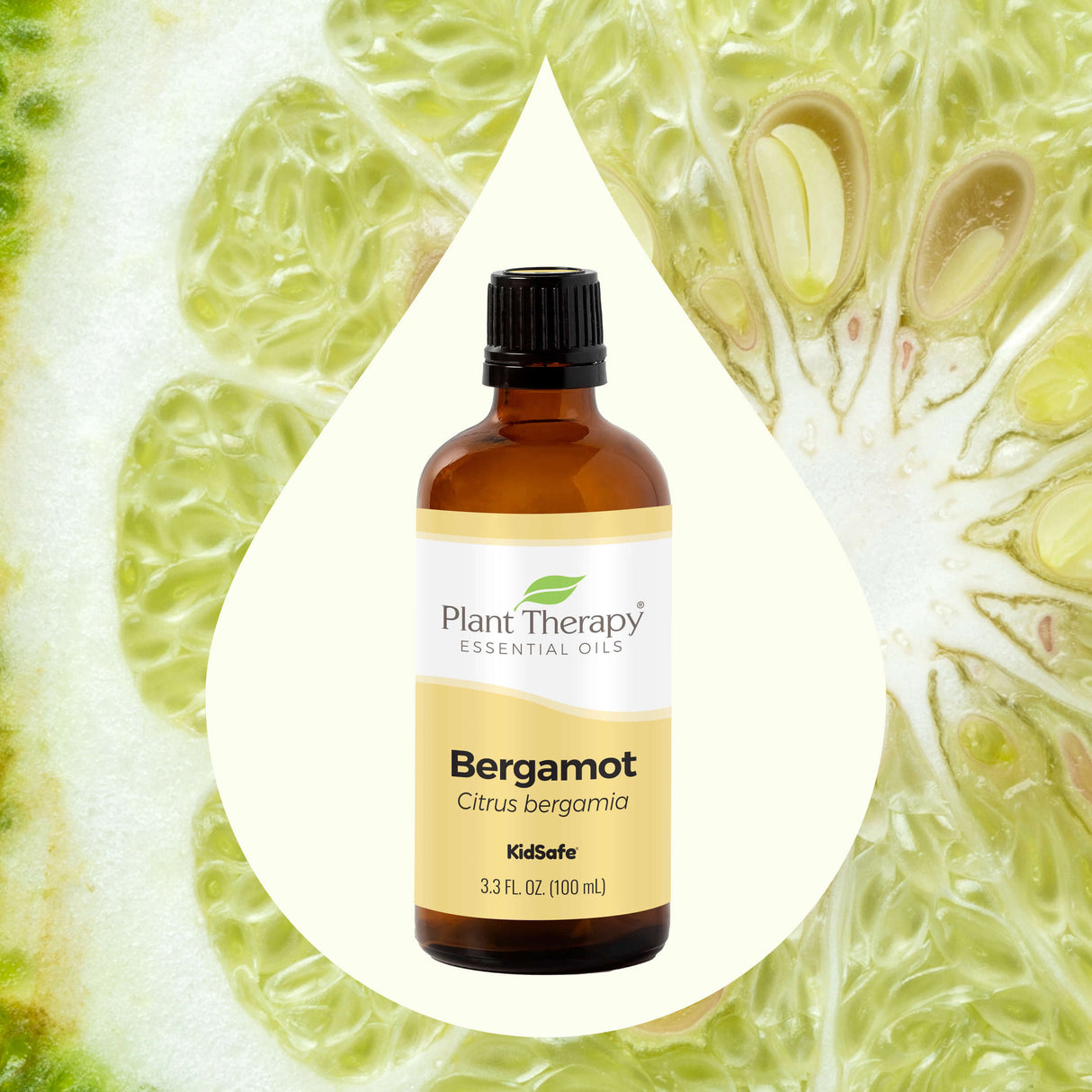 Bergamot Essential Oil From Plant Therapy