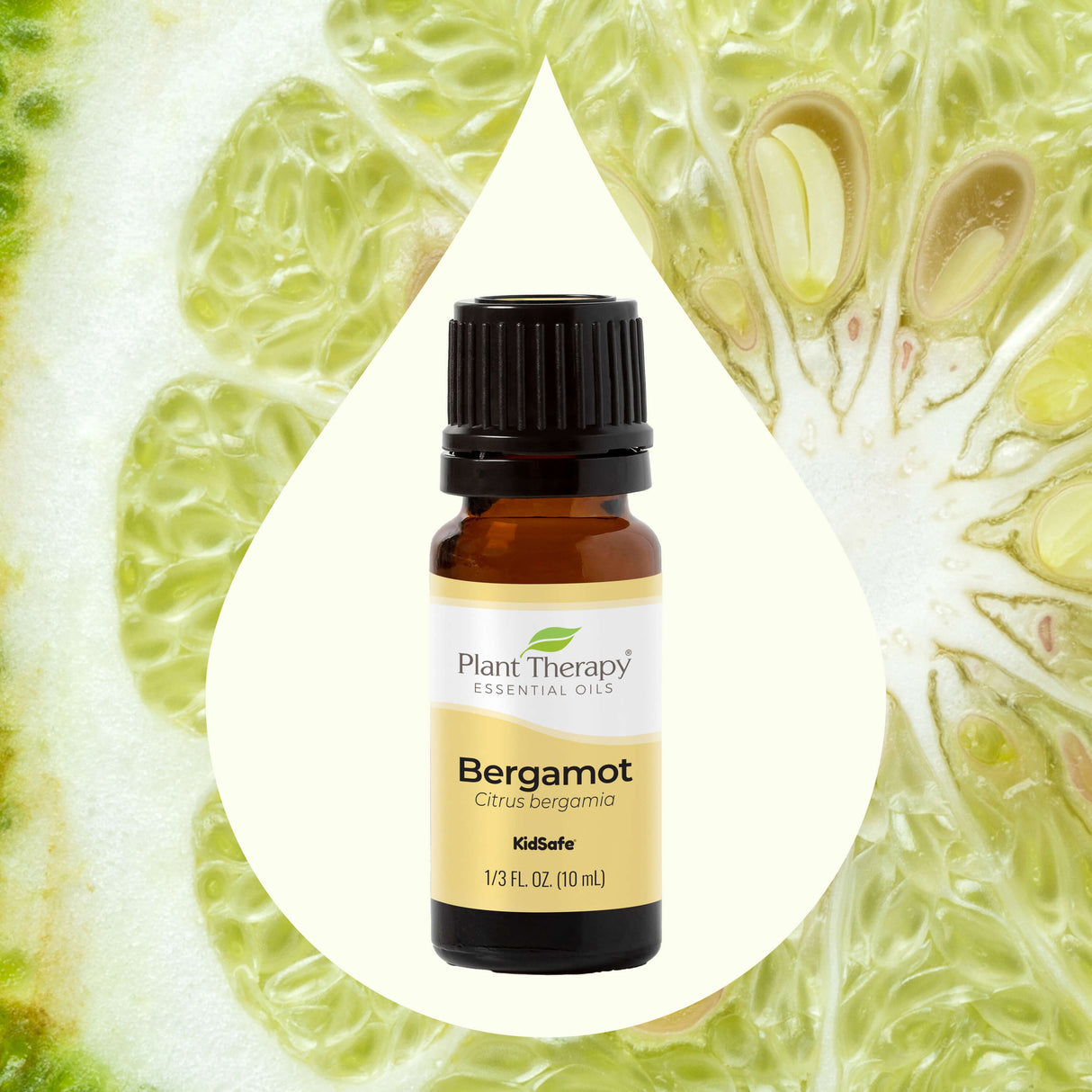 Bergamot Essential Oil From Plant Therapy