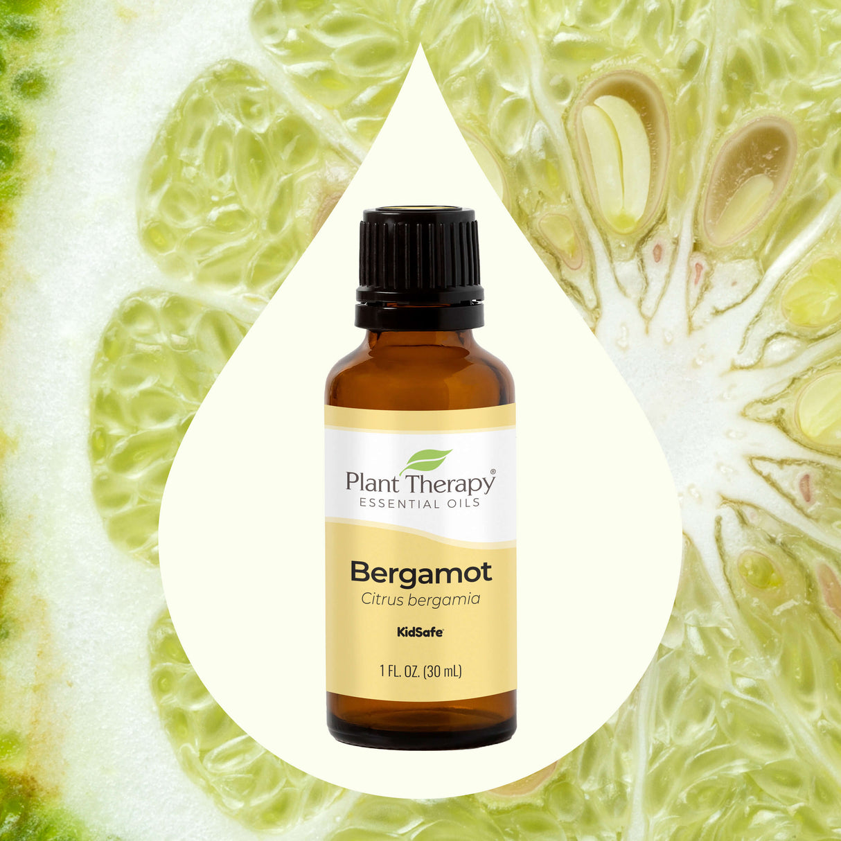 Bergamot Essential Oil From Plant Therapy