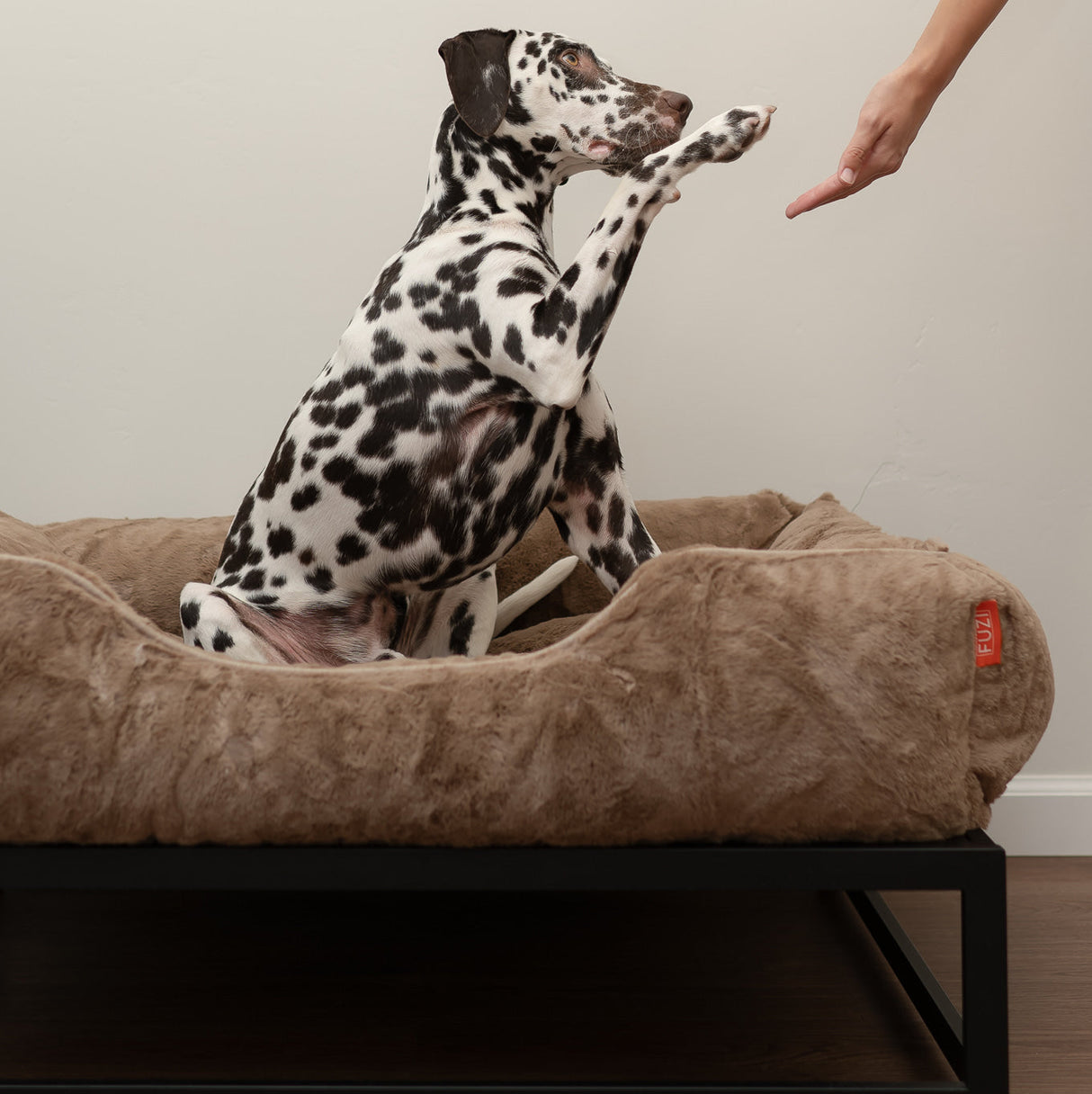 The FÜZI Dog Bed - Faux Fur from FÜZI