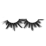 GLADGIRL 5D FALSE LASH KIT - Betty from GladGirl