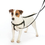 Paw Paisley Freedom No-Pull Dog Harness – Earthstyle from 2 Hounds Design