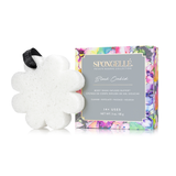 Black Orchid | Boxed Flower from Spongellé