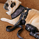 Frenchie Poo Bag Holder - Black Plaid from Frenchie Bulldog