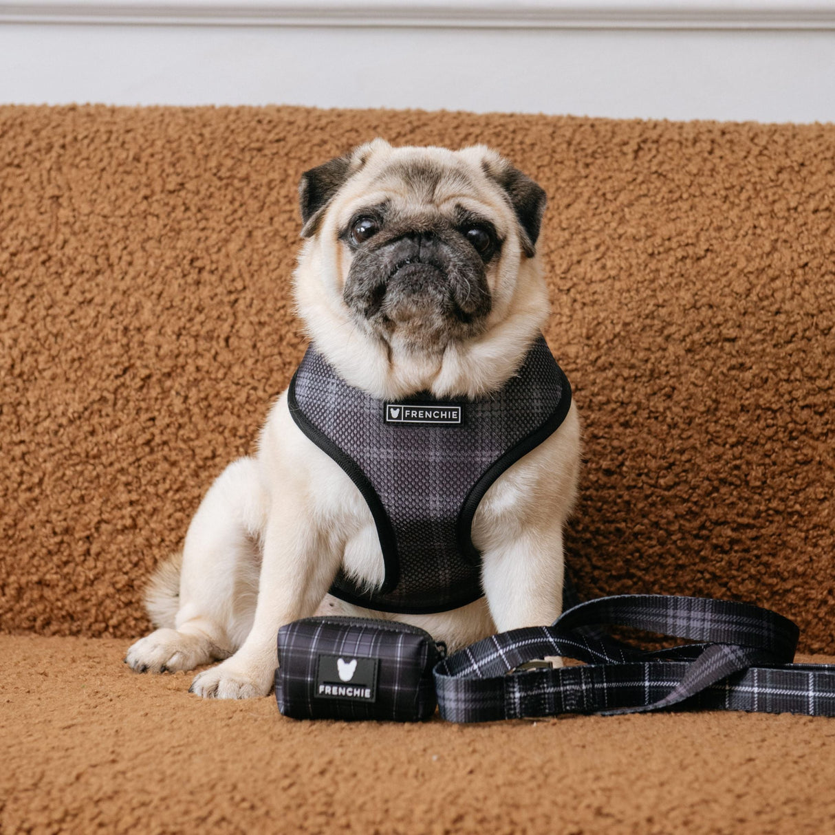 Frenchie Poo Bag Holder - Black Plaid from Frenchie Bulldog