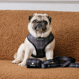 Frenchie Poo Bag Holder - Black Plaid from Frenchie Bulldog