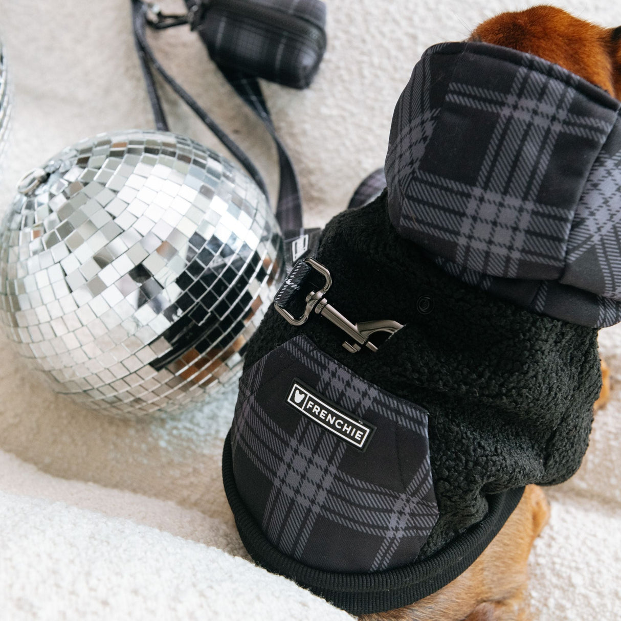 Frenchie Dog Hoodie - Black Plaid from Frenchie Bulldog