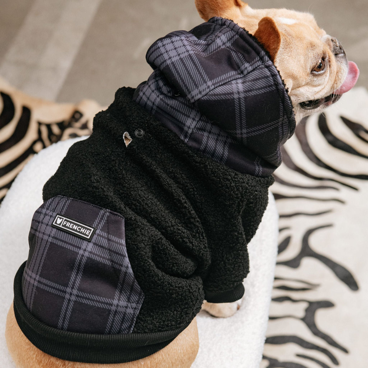 Frenchie Dog Hoodie - Black Plaid from Frenchie Bulldog