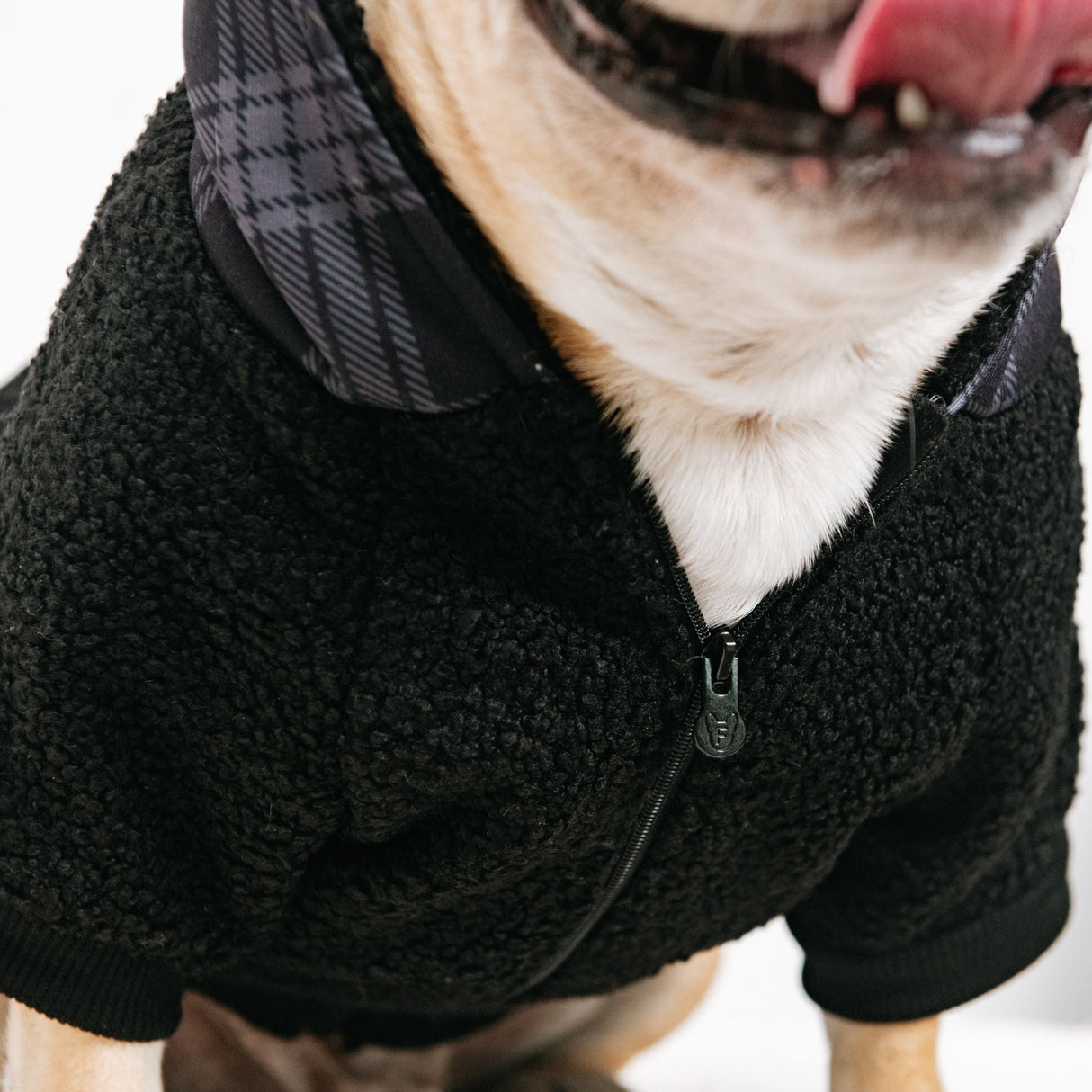 Frenchie Dog Hoodie - Black Plaid from Frenchie Bulldog