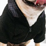 Frenchie Dog Hoodie - Black Plaid from Frenchie Bulldog