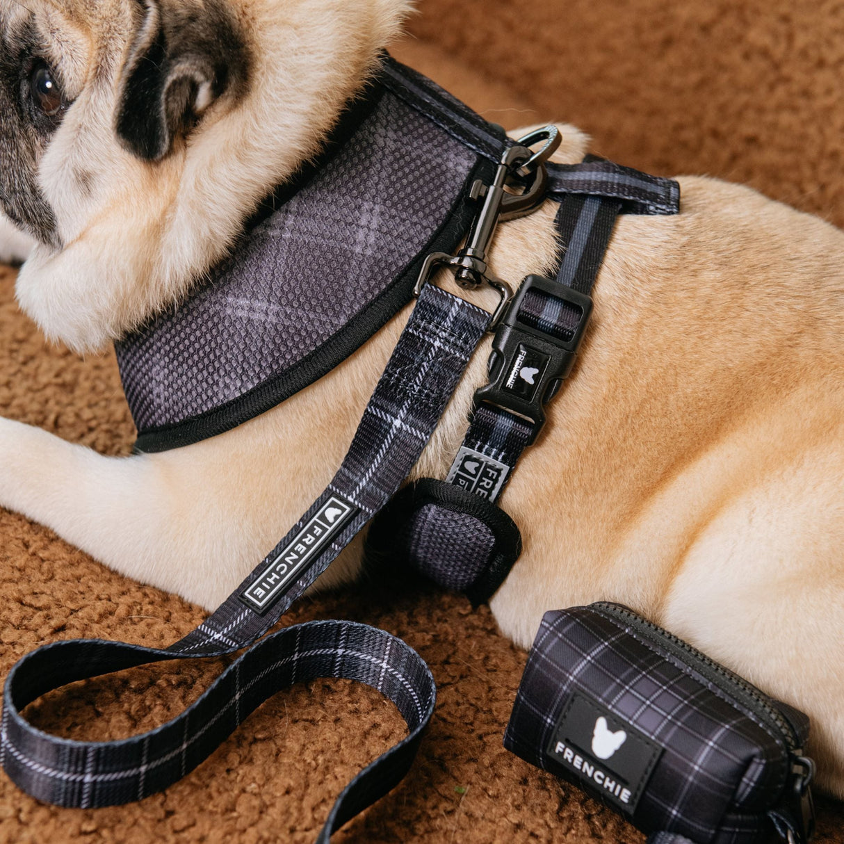 Frenchie Poo Bag Holder - Black Plaid from Frenchie Bulldog