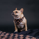 Frenchie Cooling Bandana - Black Checkered from Frenchie Bulldog