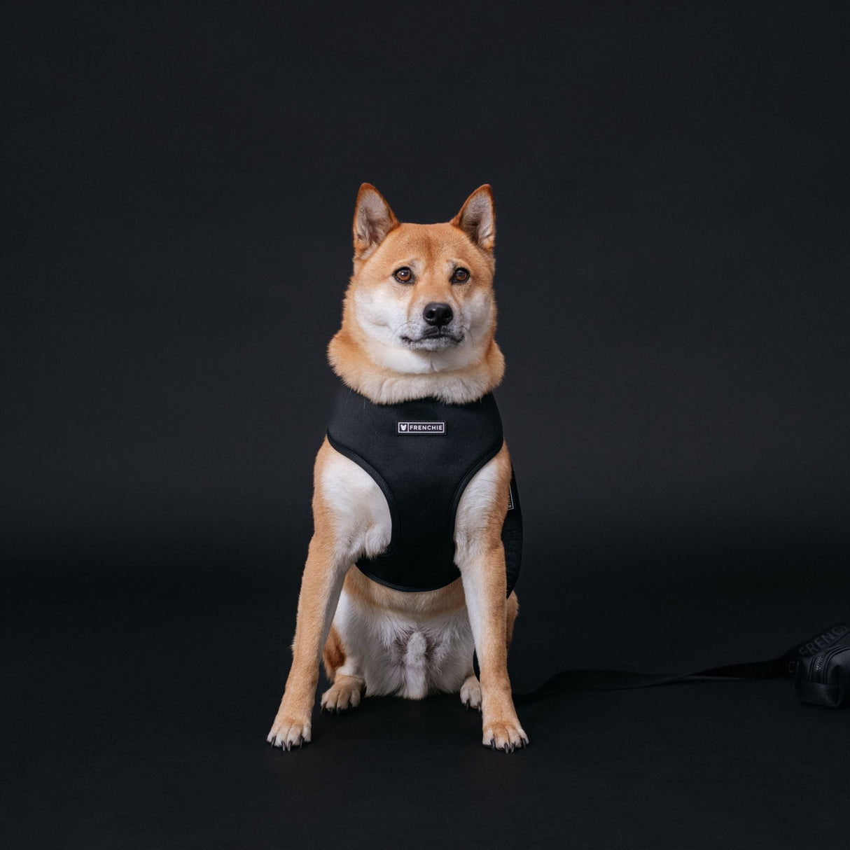 Frenchie Duo Reversible Harness - Black from Frenchie Bulldog