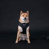 Frenchie Duo Reversible Harness - Black from Frenchie Bulldog