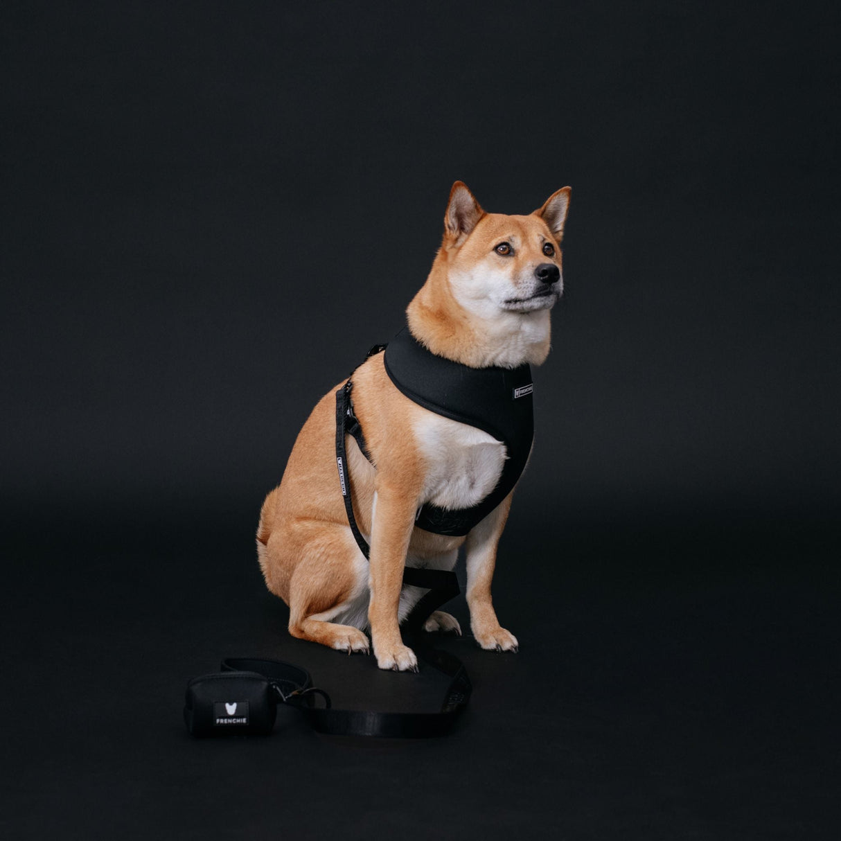 Frenchie Duo Reversible Harness - Black from Frenchie Bulldog