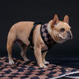 Frenchie Duo Reversible Harness - Black from Frenchie Bulldog