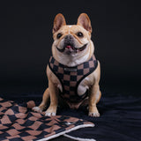 Frenchie Duo Reversible Harness - Black from Frenchie Bulldog