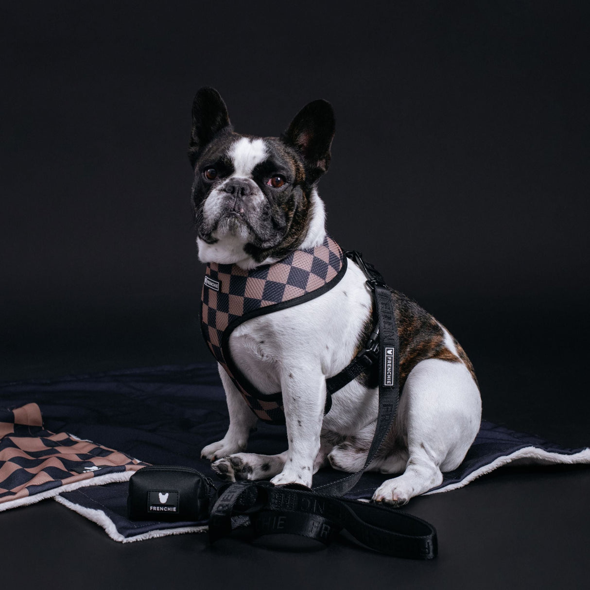 Frenchie Duo Reversible Harness - Black from Frenchie Bulldog