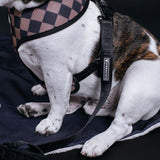 Frenchie Duo Reversible Harness - Black from Frenchie Bulldog