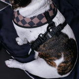 Frenchie Duo Reversible Harness - Black from Frenchie Bulldog