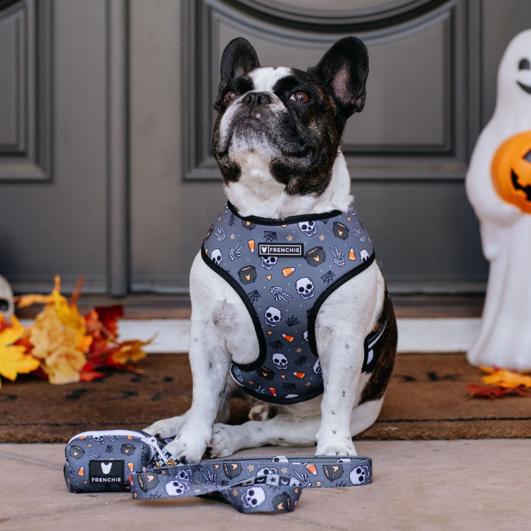Frenchie Duo Reversible Harness - Black Magic from Frenchie Bulldog