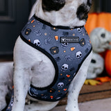 Frenchie Duo Reversible Harness - Black Magic from Frenchie Bulldog