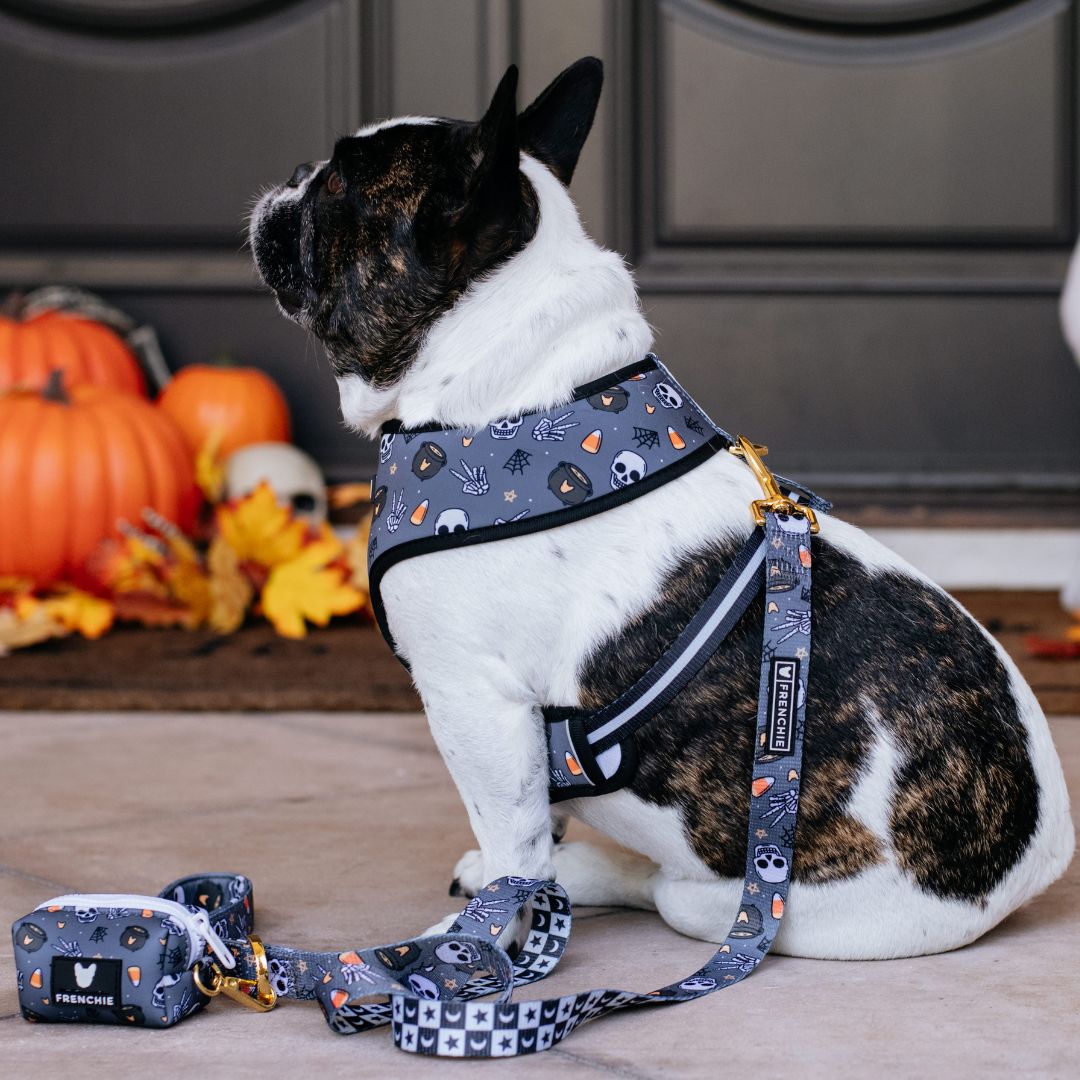 Frenchie Duo Reversible Harness - Black Magic from Frenchie Bulldog