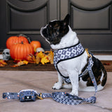Frenchie Duo Reversible Harness - Black Magic from Frenchie Bulldog