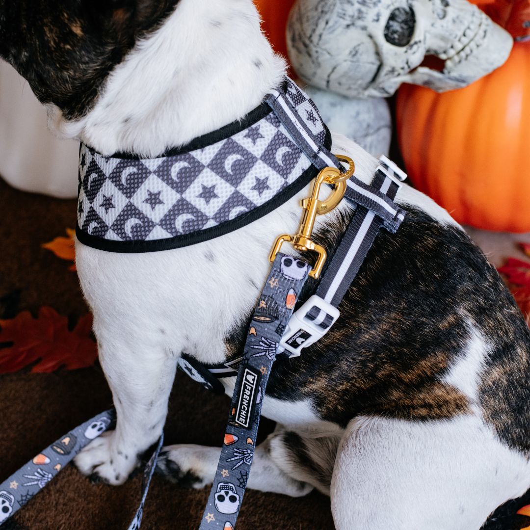 Frenchie Duo Reversible Harness - Black Magic from Frenchie Bulldog