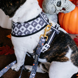 Frenchie Duo Reversible Harness - Black Magic from Frenchie Bulldog